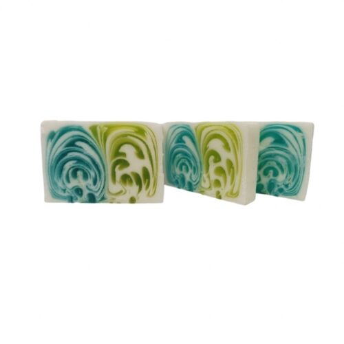 173 SAPONE ALOE VERA