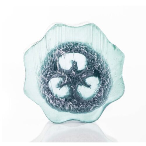 SAPONE LUFFA SPORT