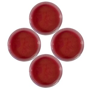 MIRTILLA BAGNOSCHIUMA SLIME - TOP UP
