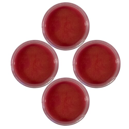 MIRTILLA BAGNOSCHIUMA SLIME - TOP UP